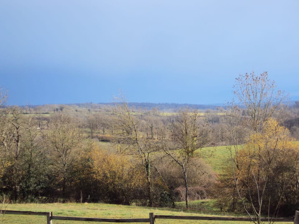 Winter view