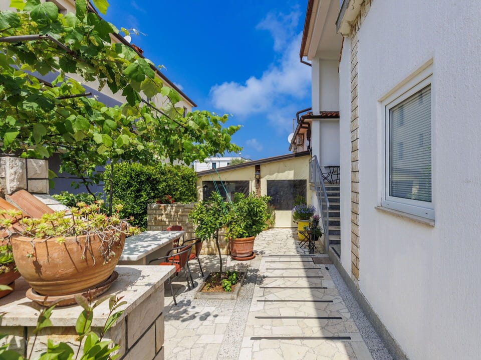 Flowerpot, Houseplant, Flagstone, Garden, Tile, Courtyard, Balcony, Walkway, Patio, Cobblestone