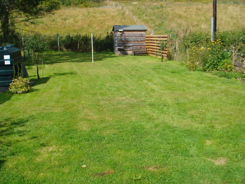 Back garden