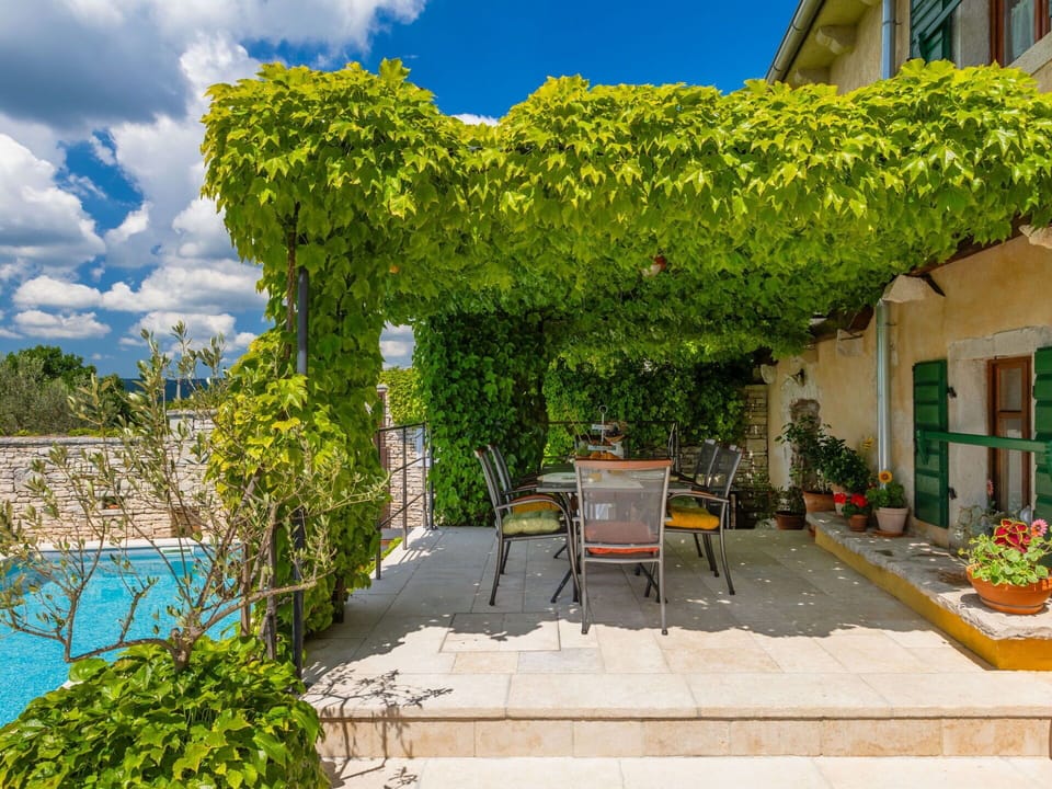 Shade, Garden, Outdoor Furniture, Eco Hotel, Pergola, Outdoor Table, Backyard, Houseplant