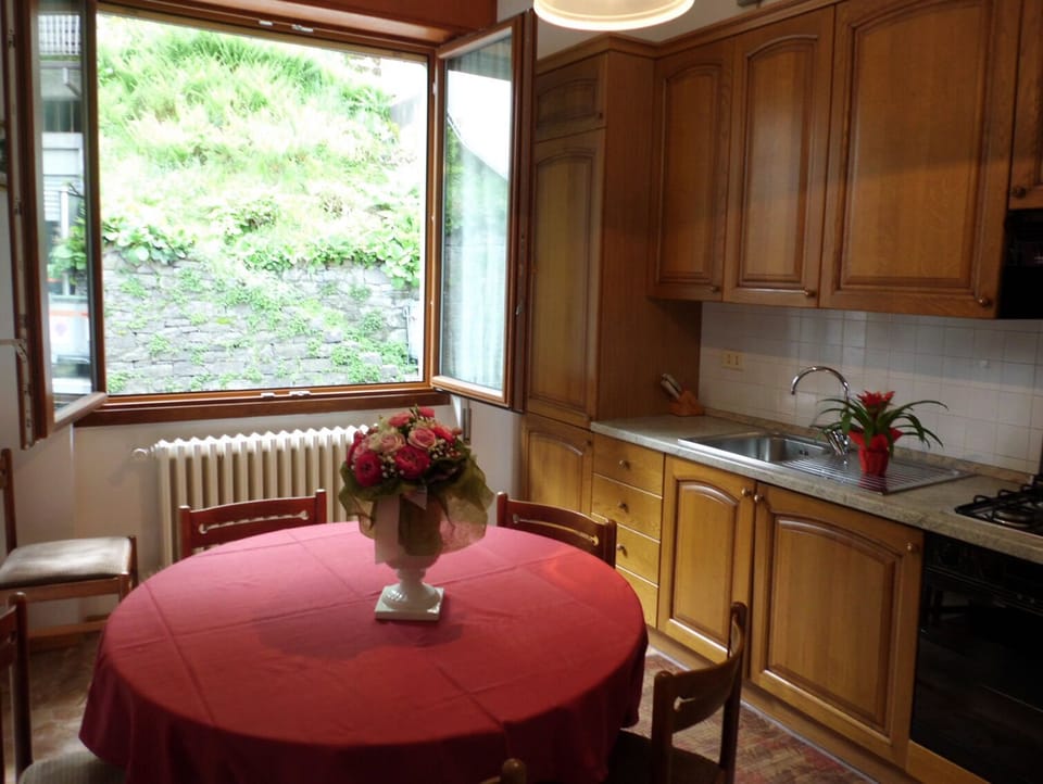 The fully equipped kitchen