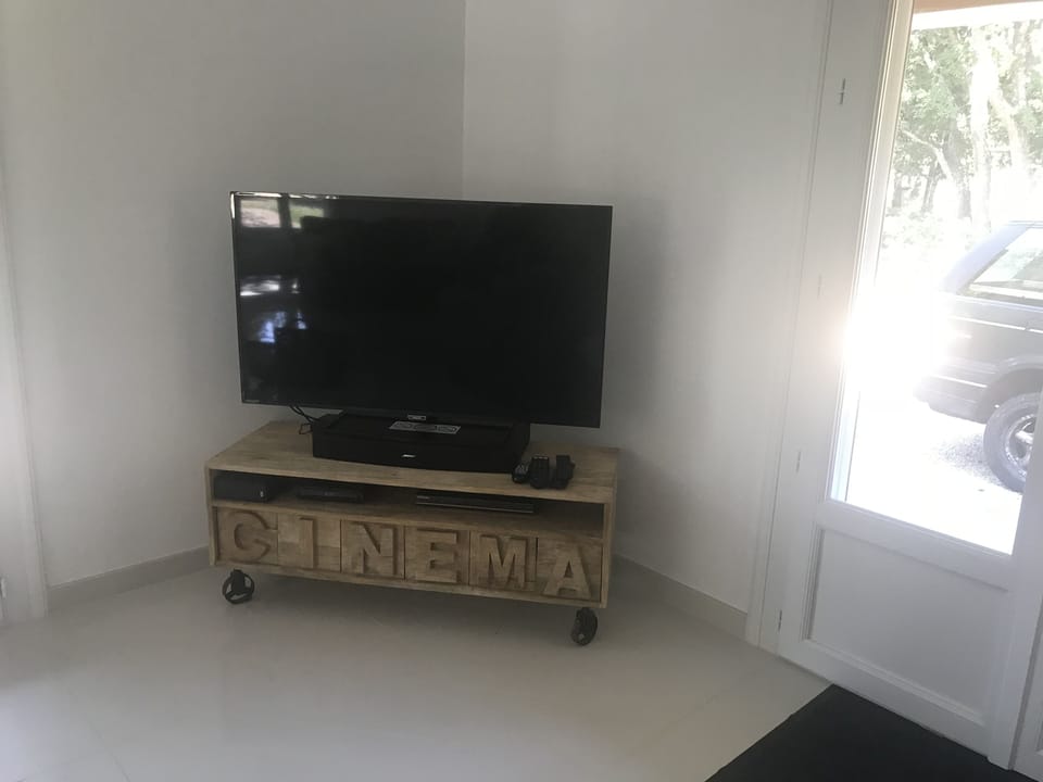 Television