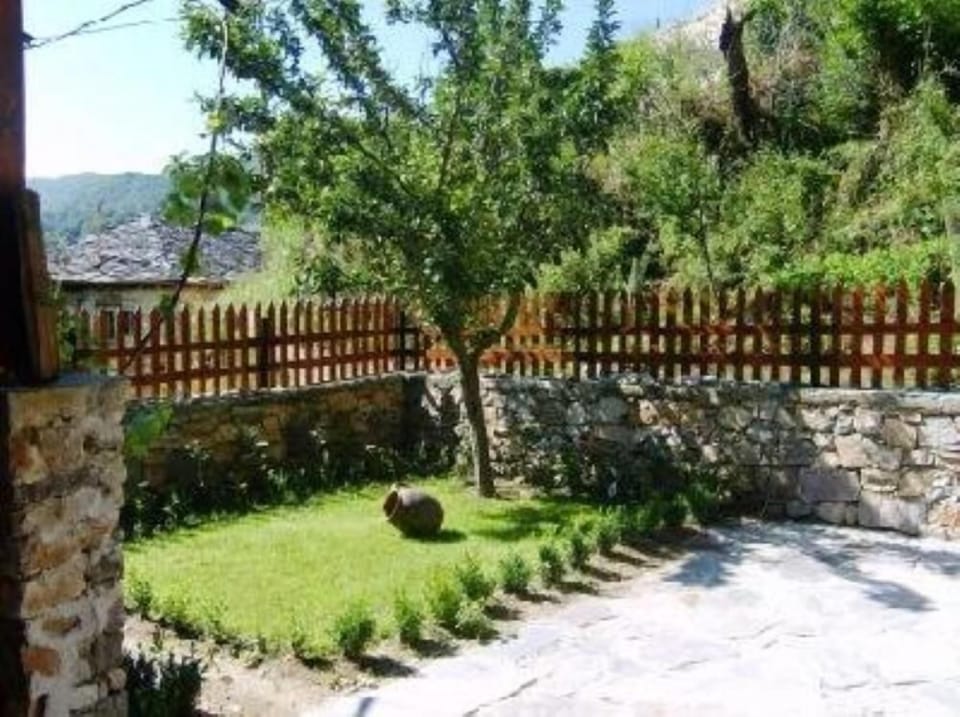 Garden, Park