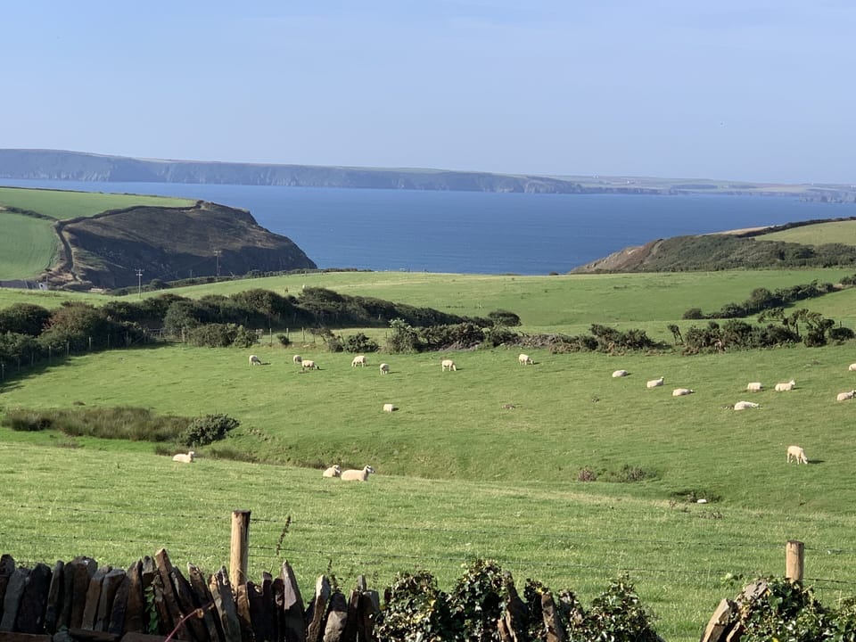 View from Garden