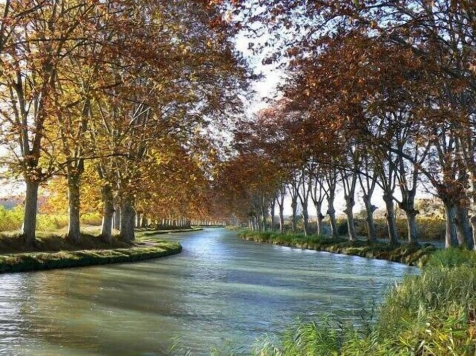 Canal du Midi for shady walking and cycling