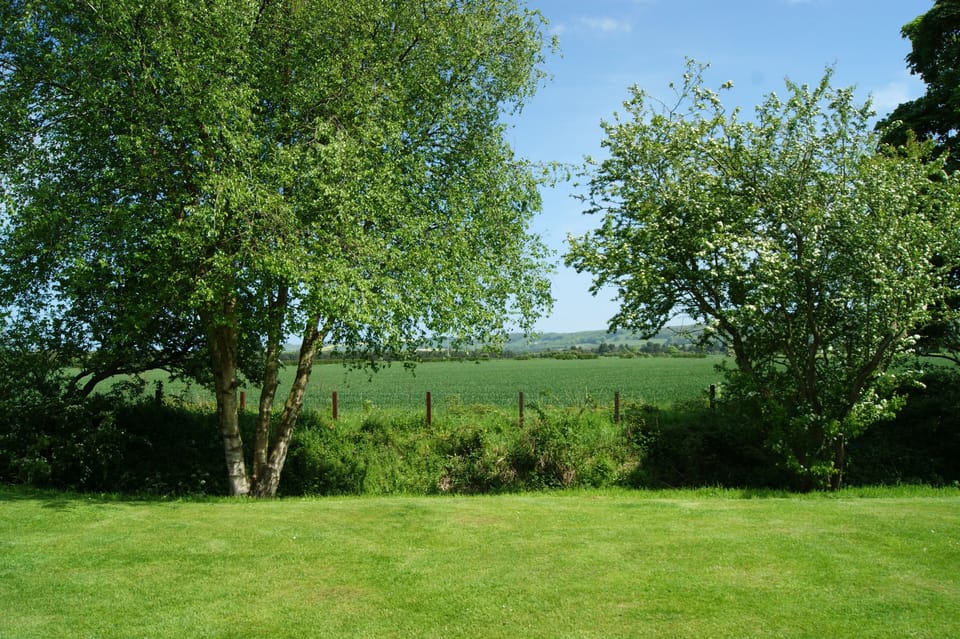View from rear of house