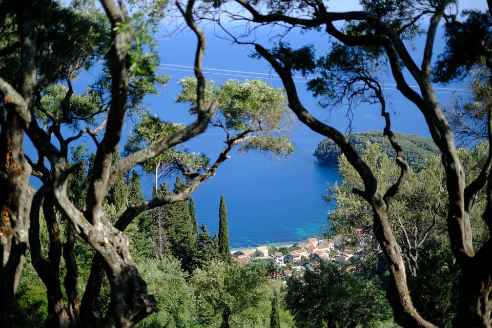 Kalami beach through the olive trees ... one of the many views from Villa Genna