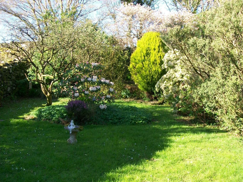 another view of garden 2017