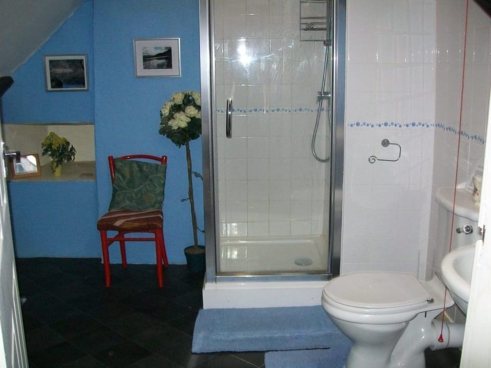 shower cubicle /toilet and basin combined with attic twin room