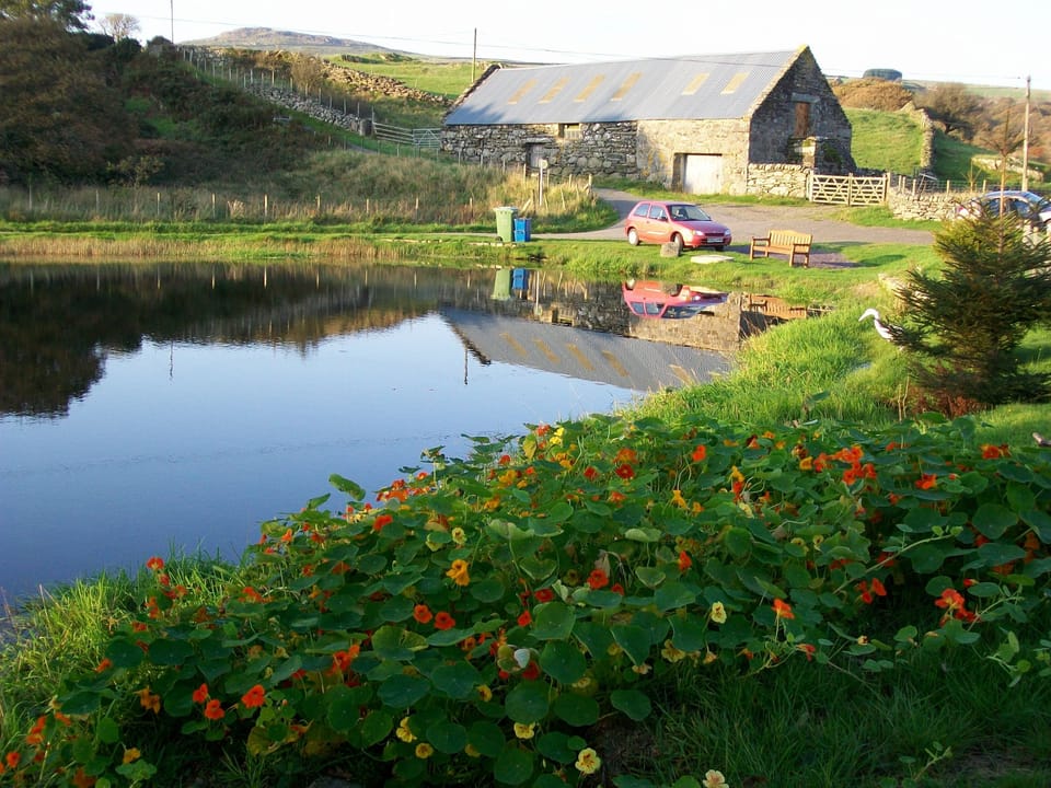 picnic by the pond or watch birdlife and fish jump