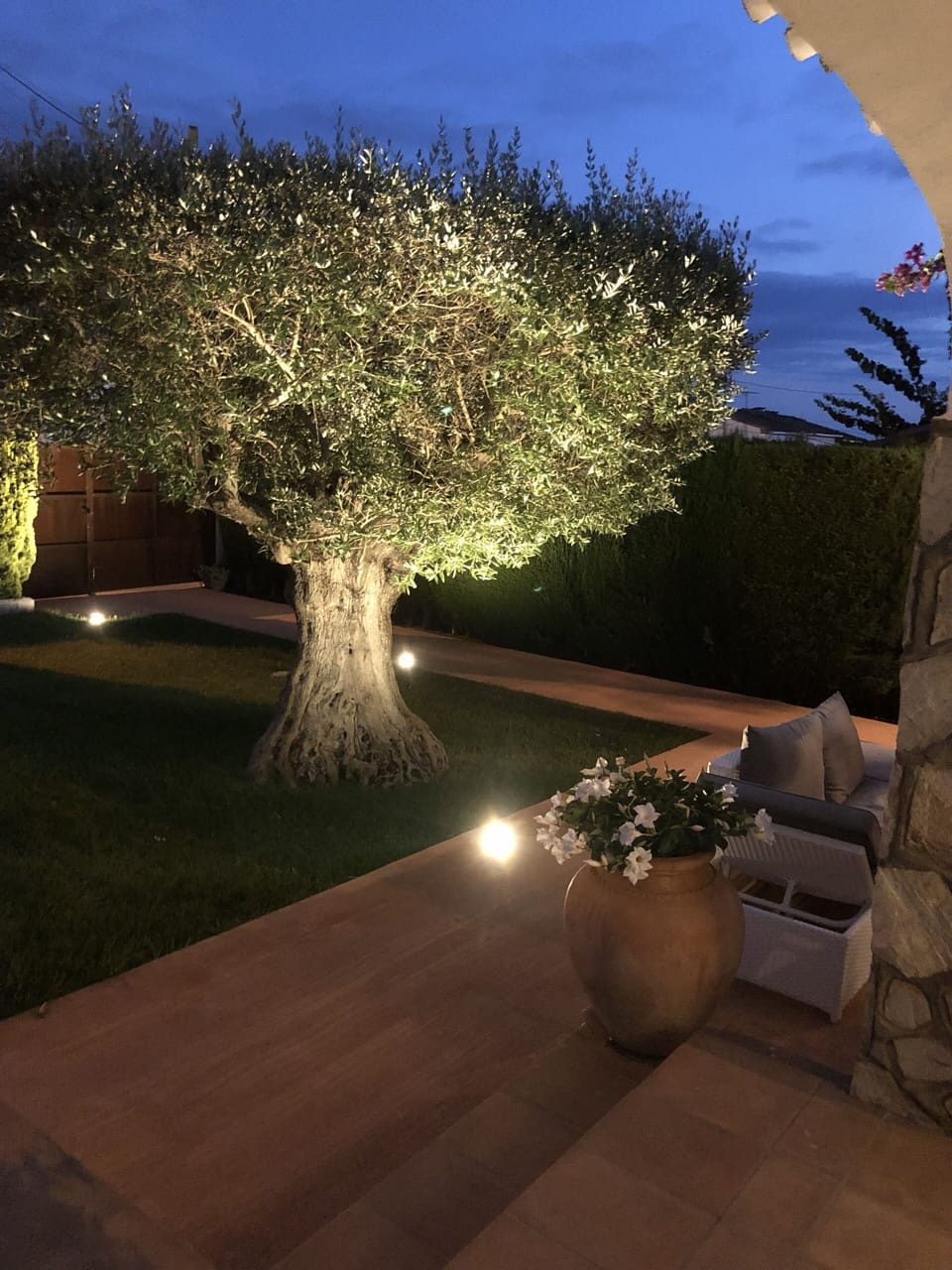 Terrace/patio