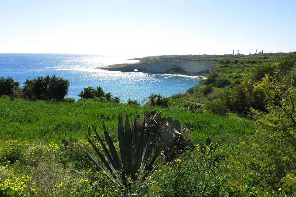 Spectacular cliff and coastal walks in the vicinity