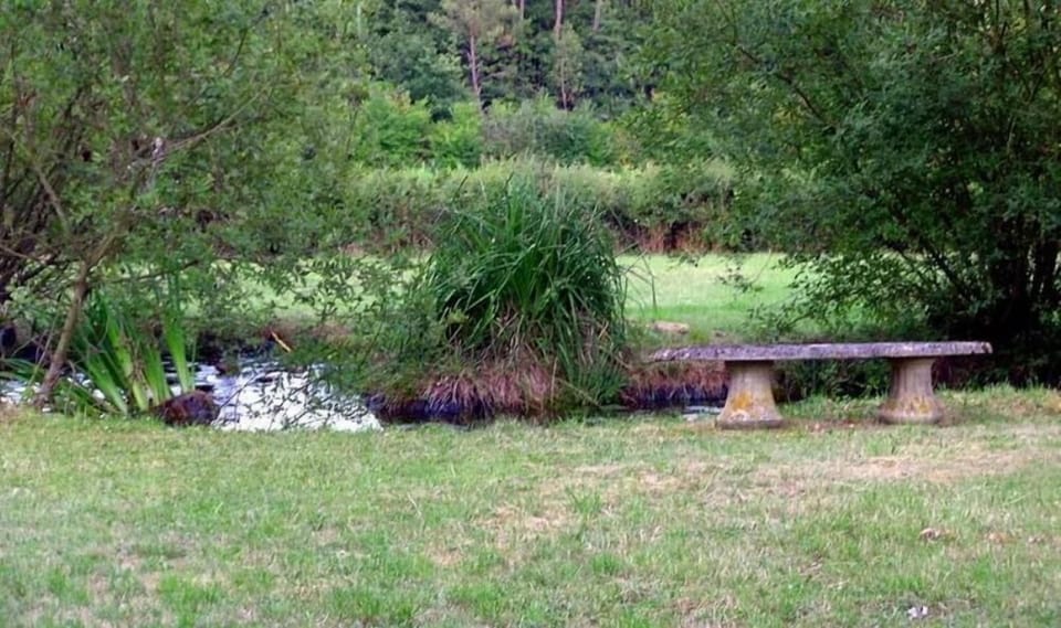 Garden, Park