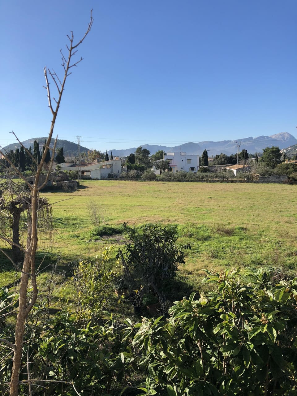 View showing the land of the Villa.