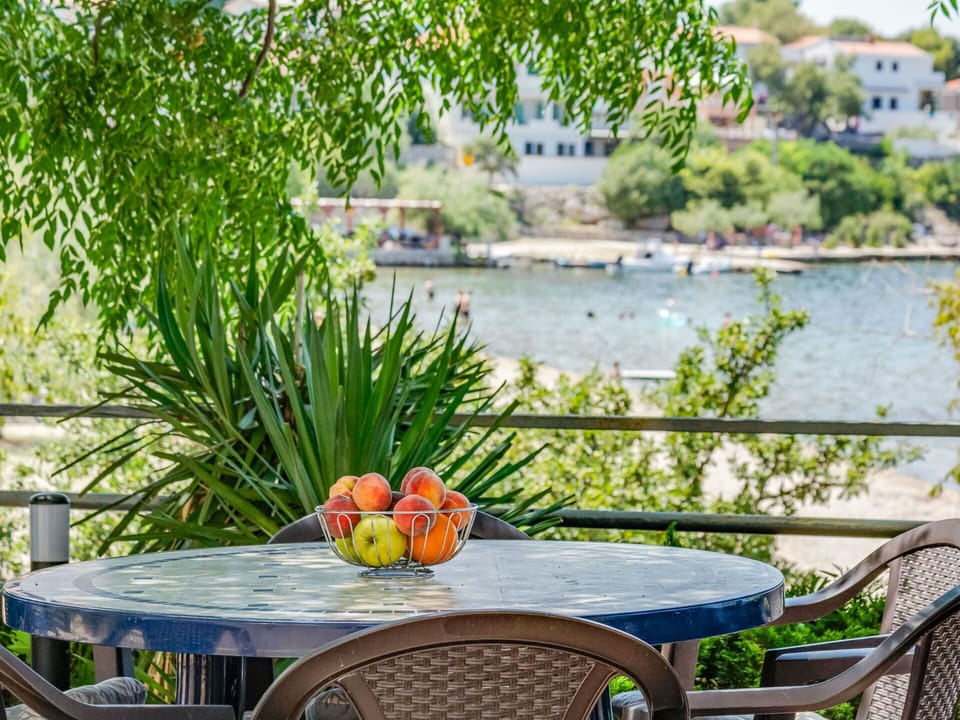 Table, Water, Furniture, Plant, Flower, Nature, Chair, Outdoor Furniture, Tree, Outdoor Table