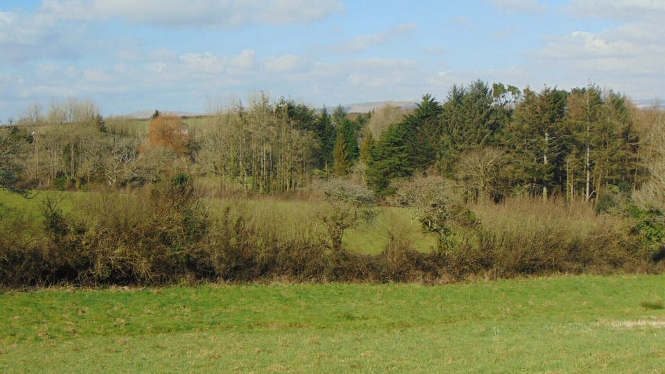 Stunning views from the meadow across to dartmoor