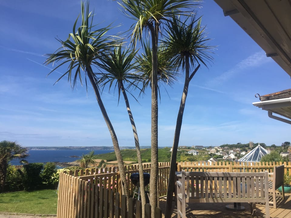 Decking with palms 