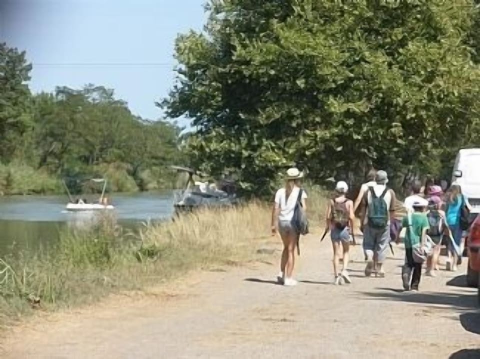 Canal du Midi walks