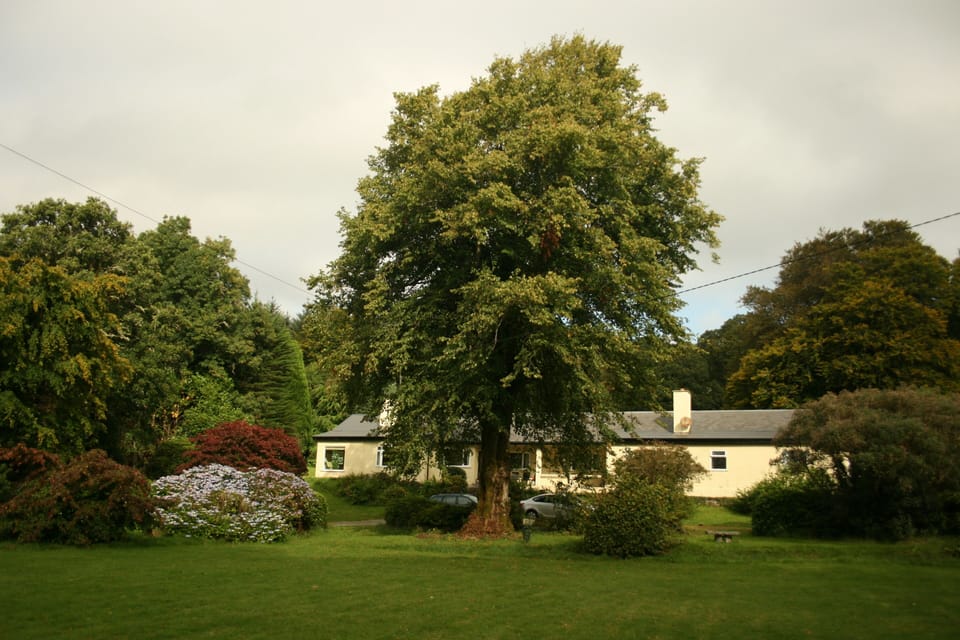 The front of the house from the front lawn