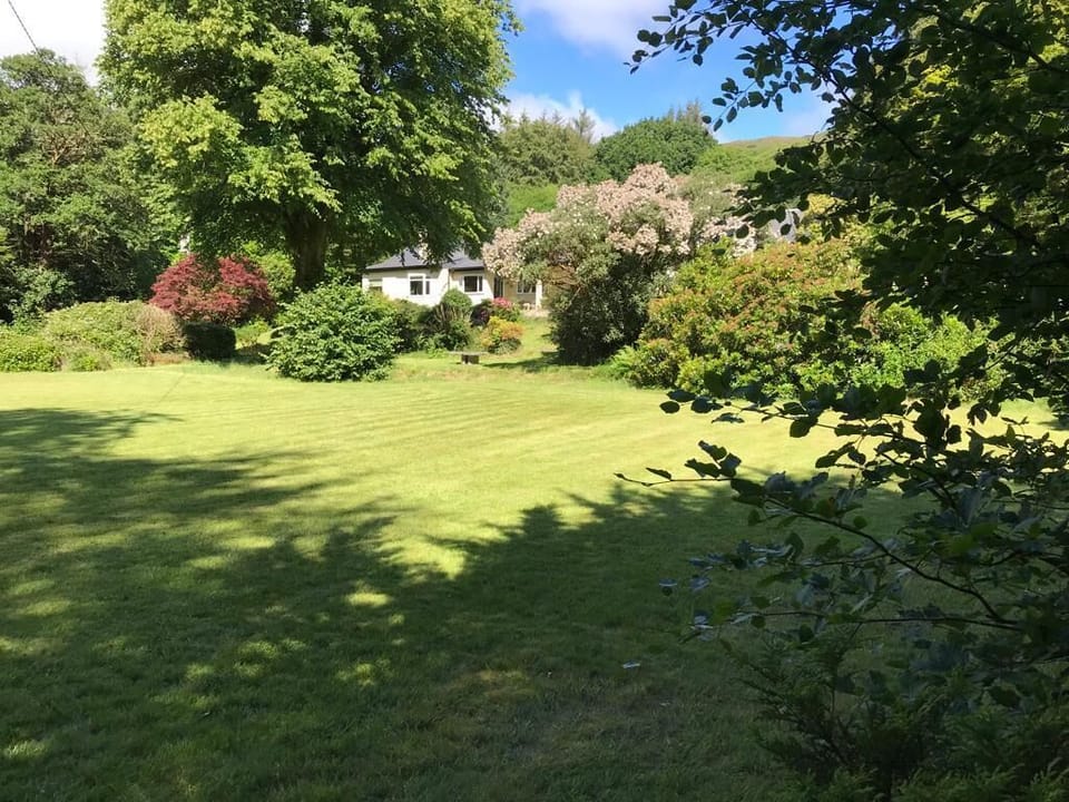 The garden looking towards the house 