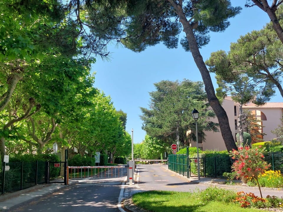 Tree, Residential Area, Public Space, Shrub, Thoroughfare, Sidewalk, Suburb, Shade, Landscaping, Driveway