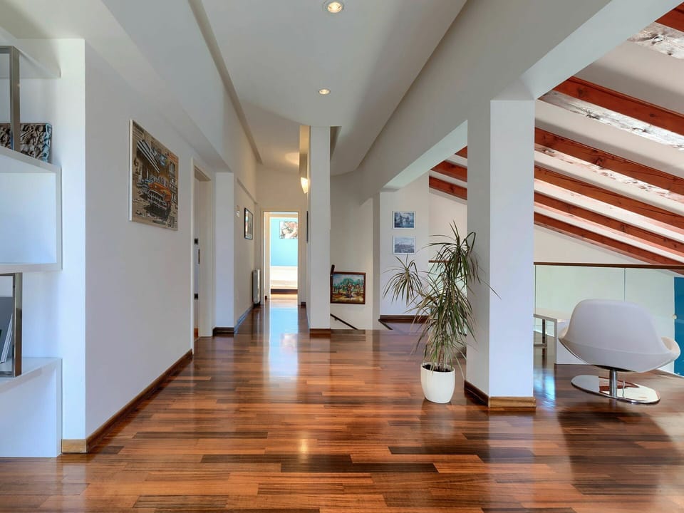 Picture Frame, Plant, Building, Wood, Houseplant, Flooring, Interior Design, Floor, Hall