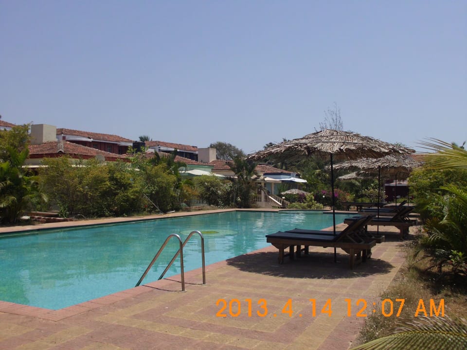 Olympic size Swimming Pool with Pool Loungers & Coconut Umbrellas