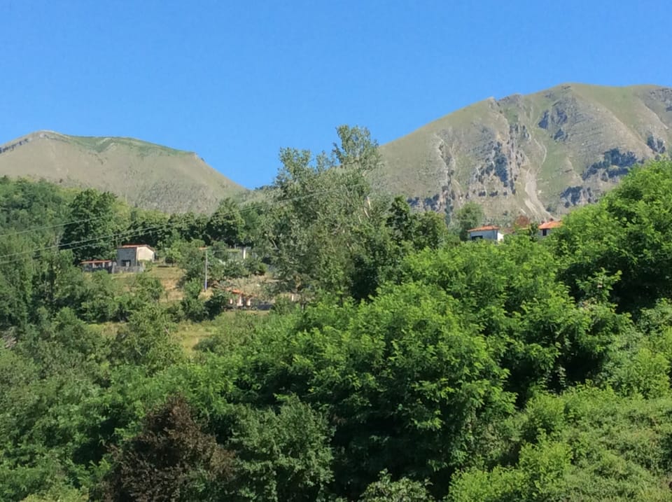 View from the house