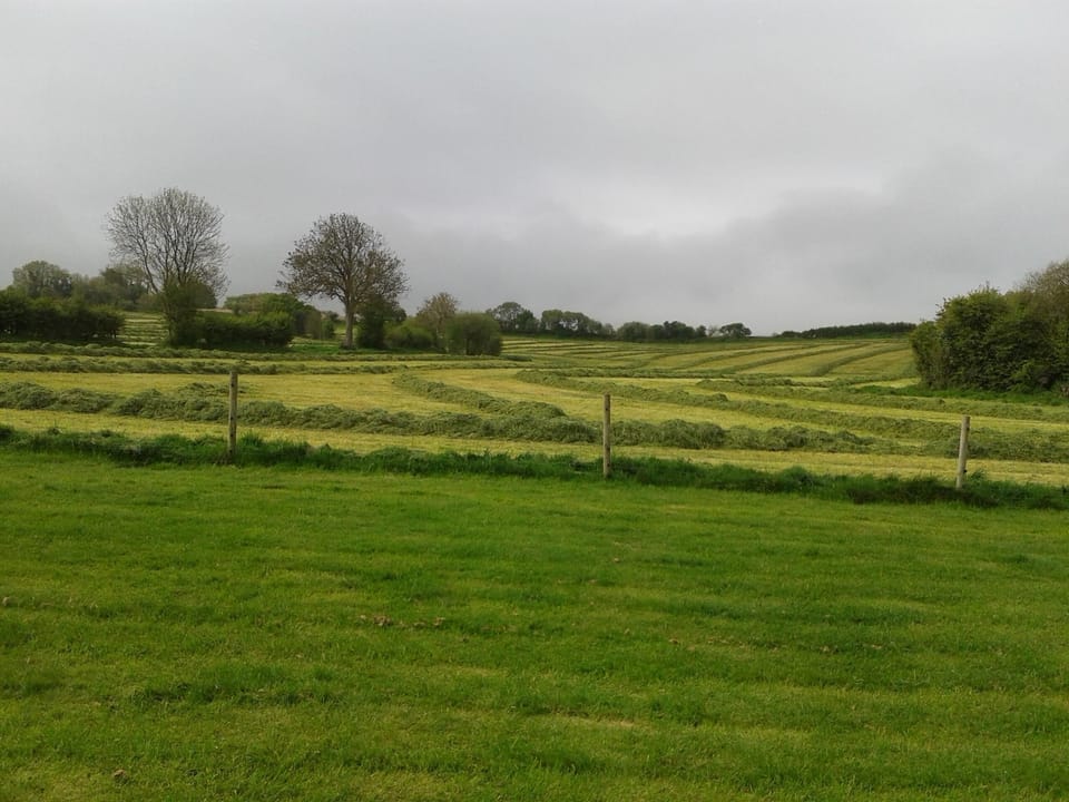 Spectacular vews from The Old Dairy.