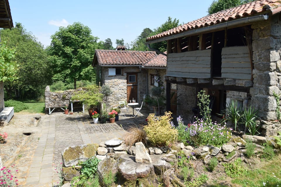View into courtyard from willow bed area