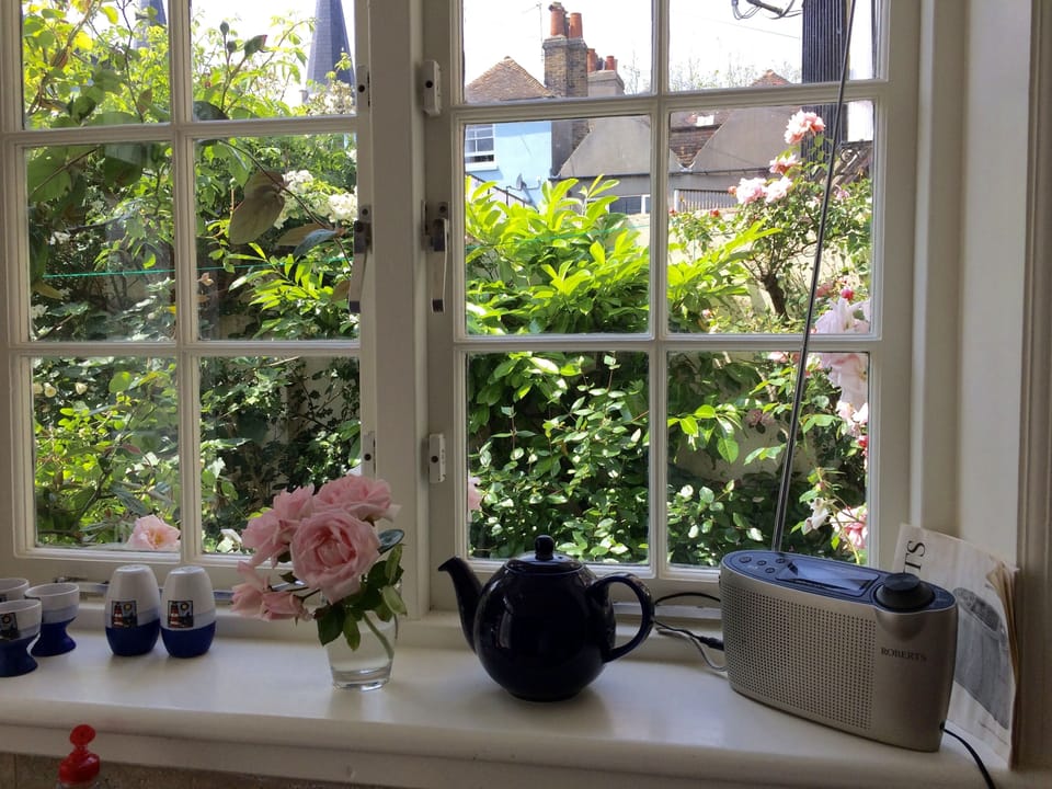 view from the kitchen window