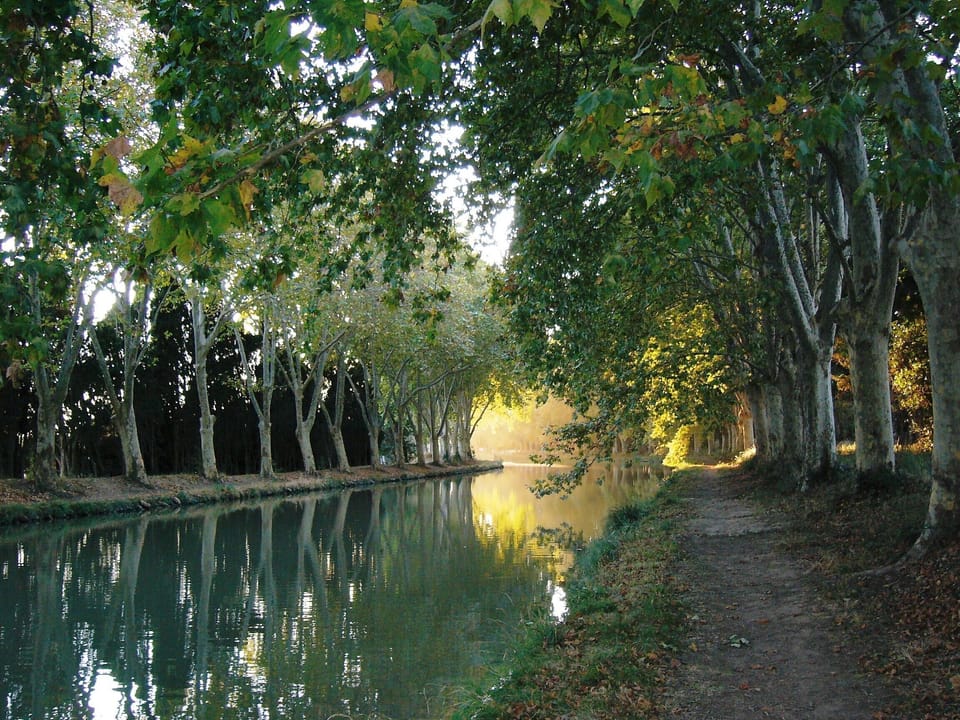 Canal du Midi in autumn
