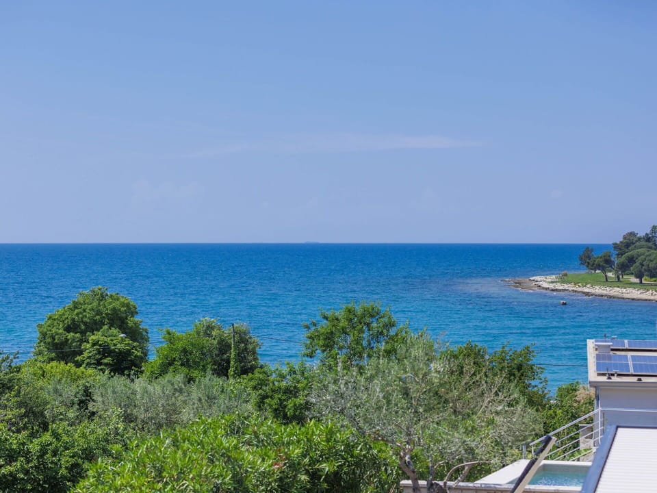 Water, Sky, Azure, Tree, Coastal And Oceanic Landforms, Plant, Horizon, Natural Landscape, Arecales, Landscape