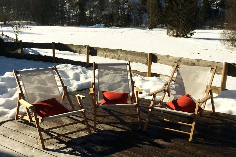 Garden [winter]