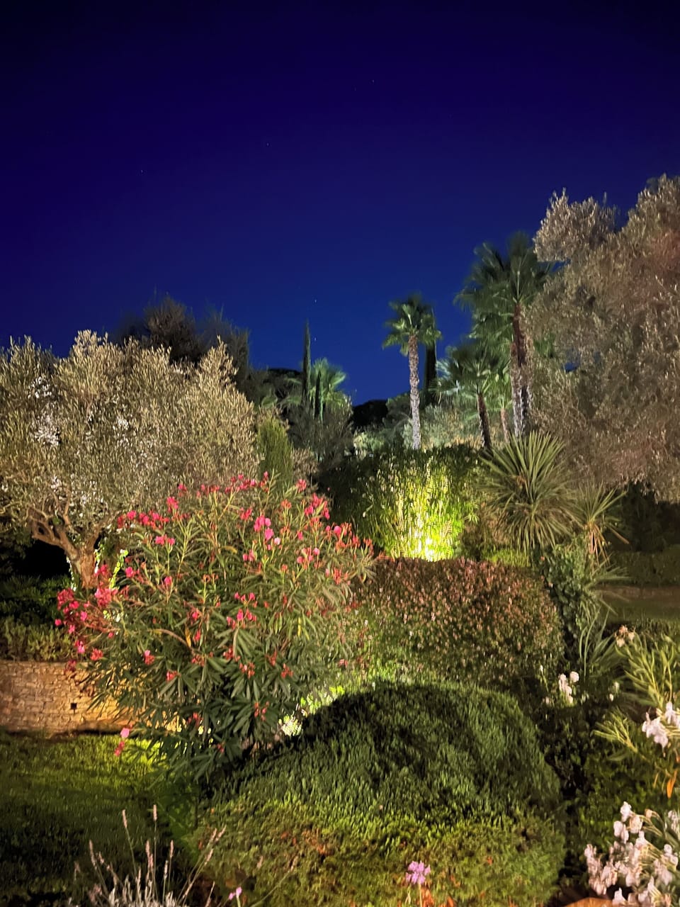 Evenings under the stars, surrounded by fragrant Provençal gardens.