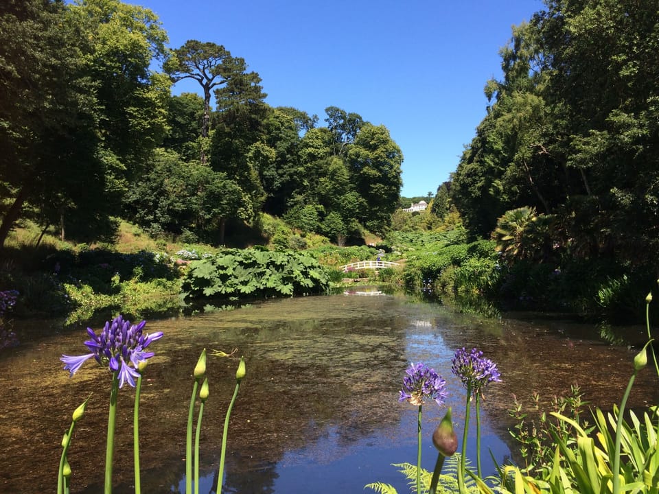Trebah Gardens