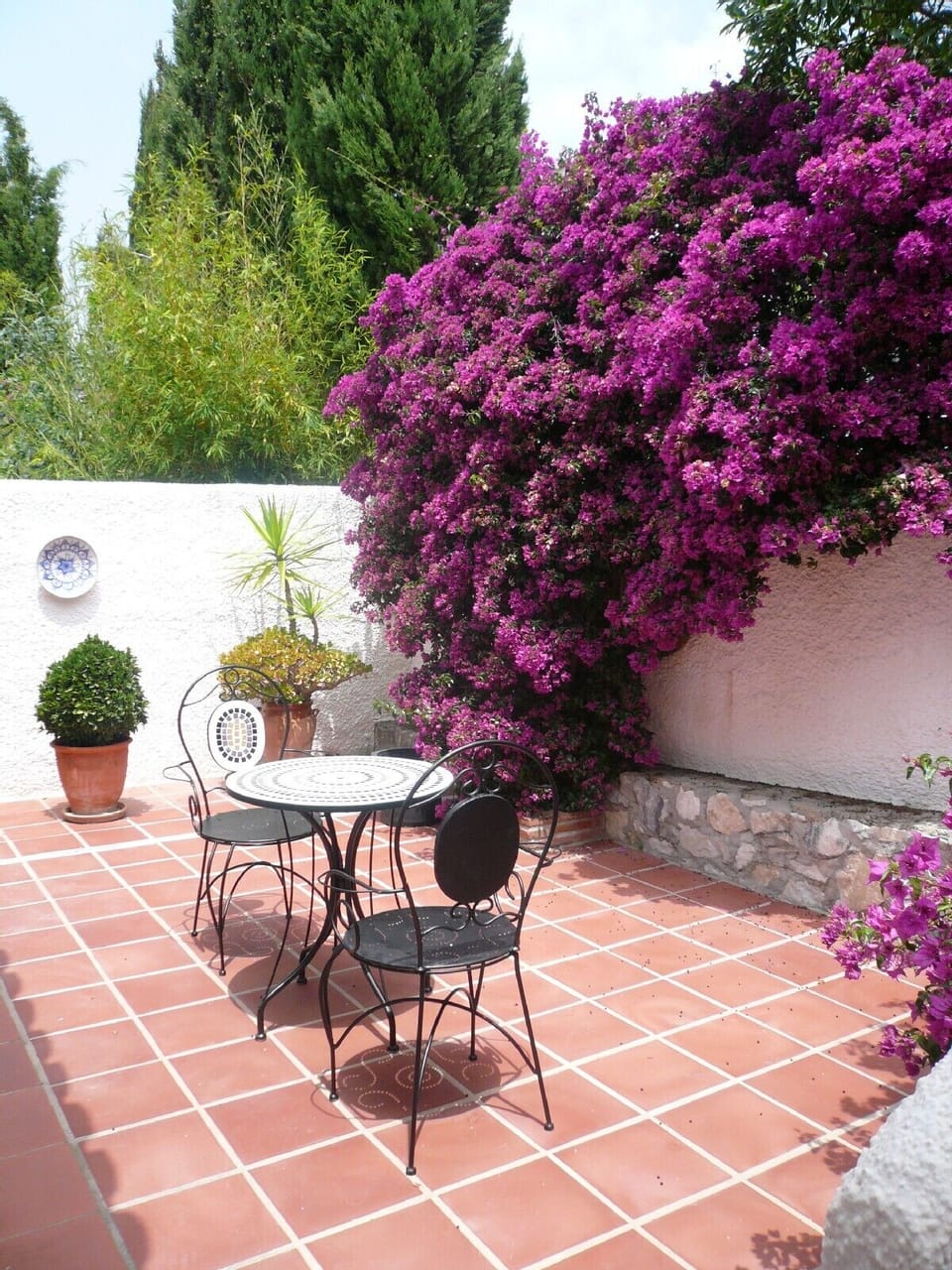 Small patio from kitchen