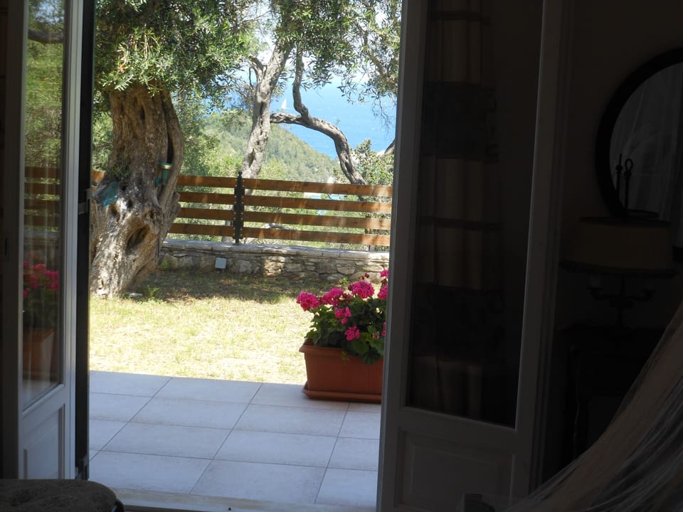 View from villa