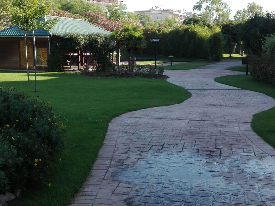 Lawn, Walkway, Grass, Yard, Road Surface, Public Space, Landscaping, Landscape, Path, Backyard