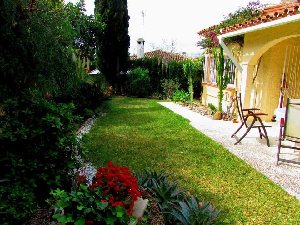 Private garden with tropical and mediterranean plants