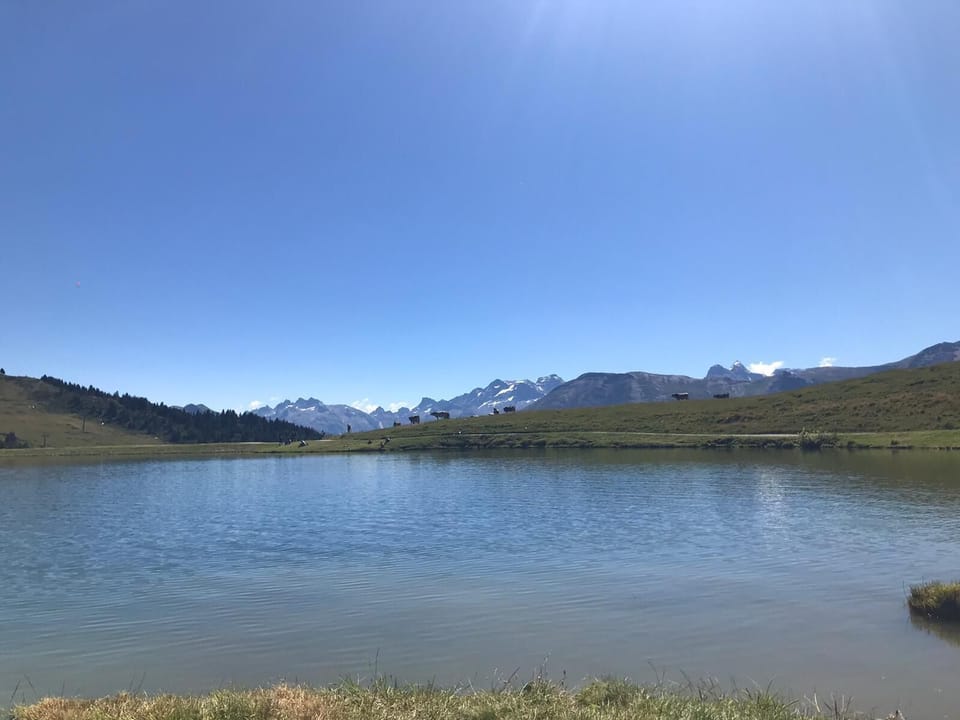 Lake