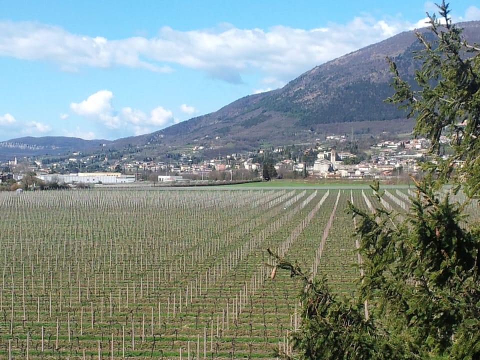 Attractive apartment in the wine area near Lake Garda, Bardolino, Monte Baldo, Verona Apartment in Lake Garda