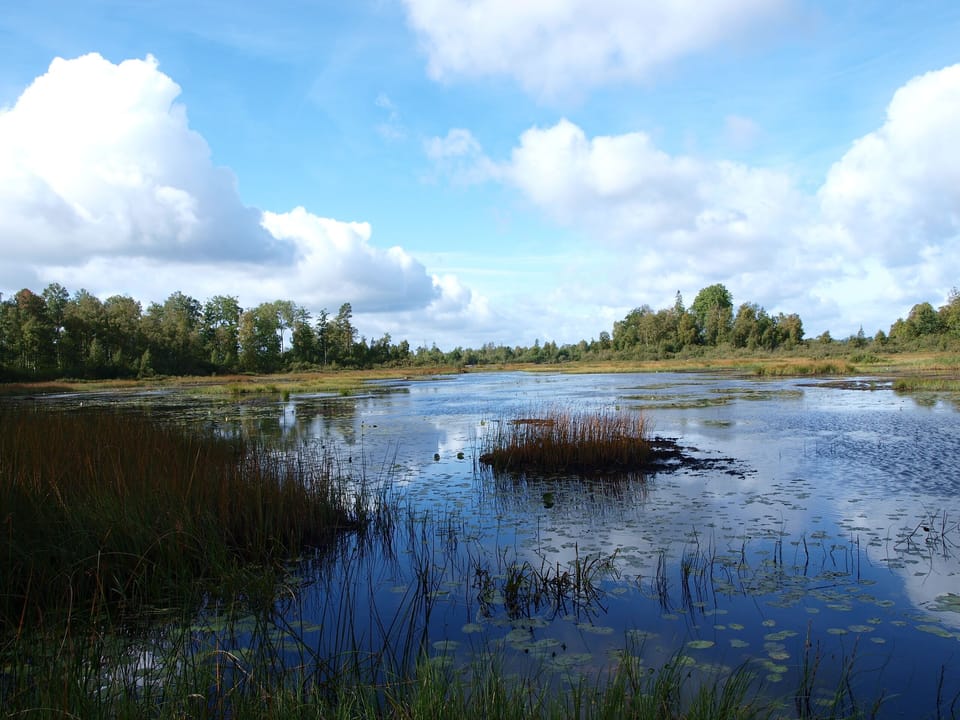 Lake