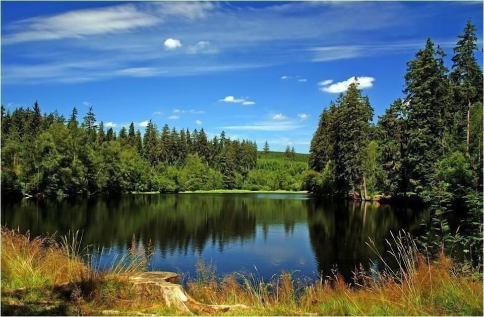 Lake