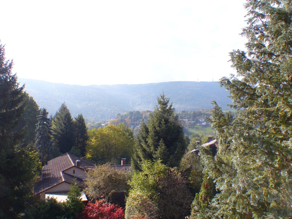 Heidelberg in the Countryside – Valley Views, Königstuhl, Good Transportation Links & Parking Apartment in Heidelberg