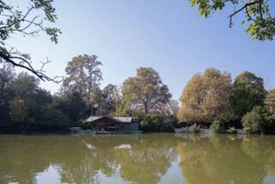 Lake