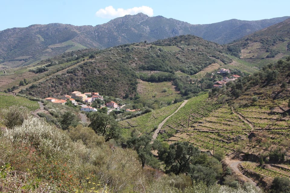 view on the hamlet