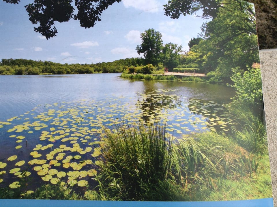 Lake
