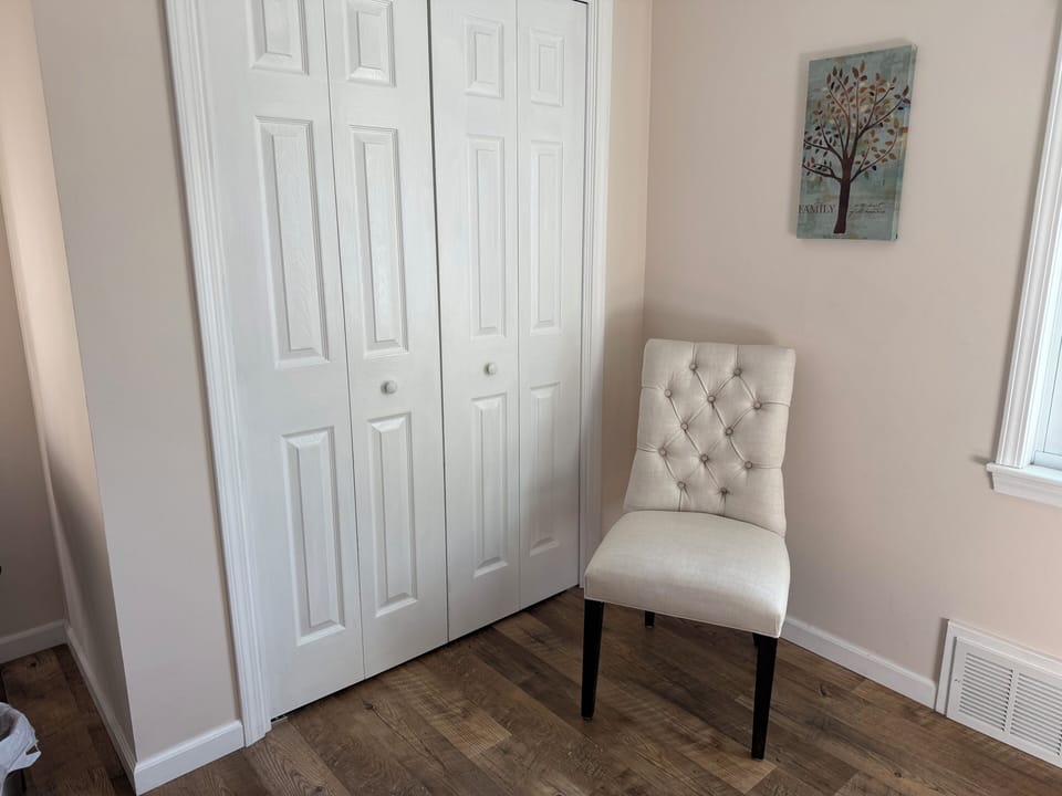 Spacious closet and bedroom side chair
