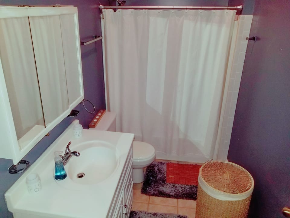 Guest bathroom 